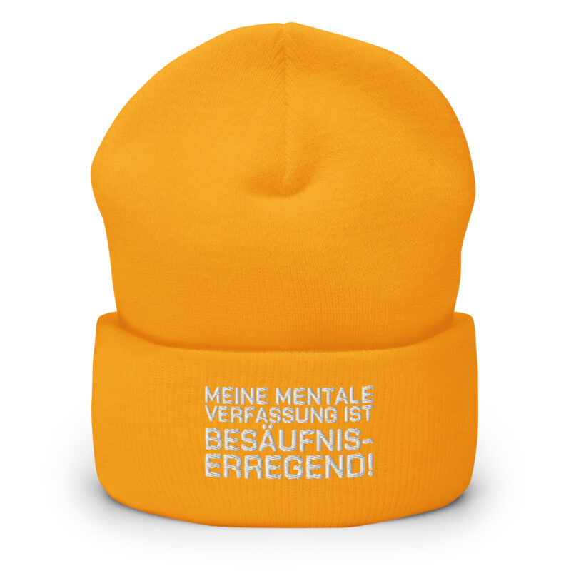 Meine mentale Verfassung ist besäufniserregend Beanie