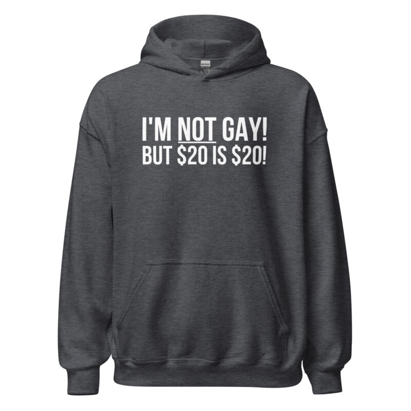 I’m not gay but $20 is $20 Unisex-Hoodie