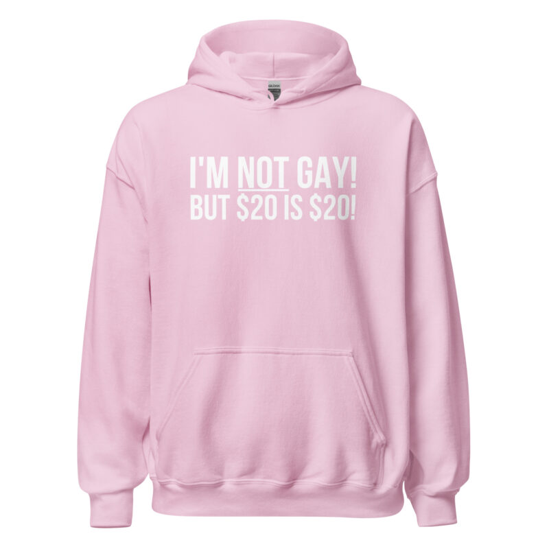 I’m not gay but $20 is $20 Unisex-Hoodie