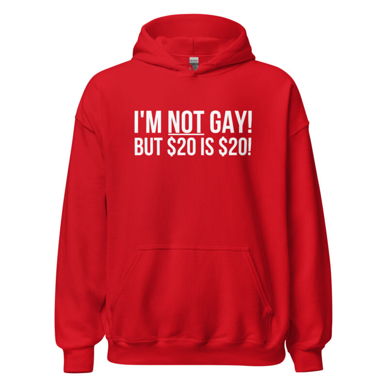 I’m not gay but $20 is $20 Unisex-Hoodie