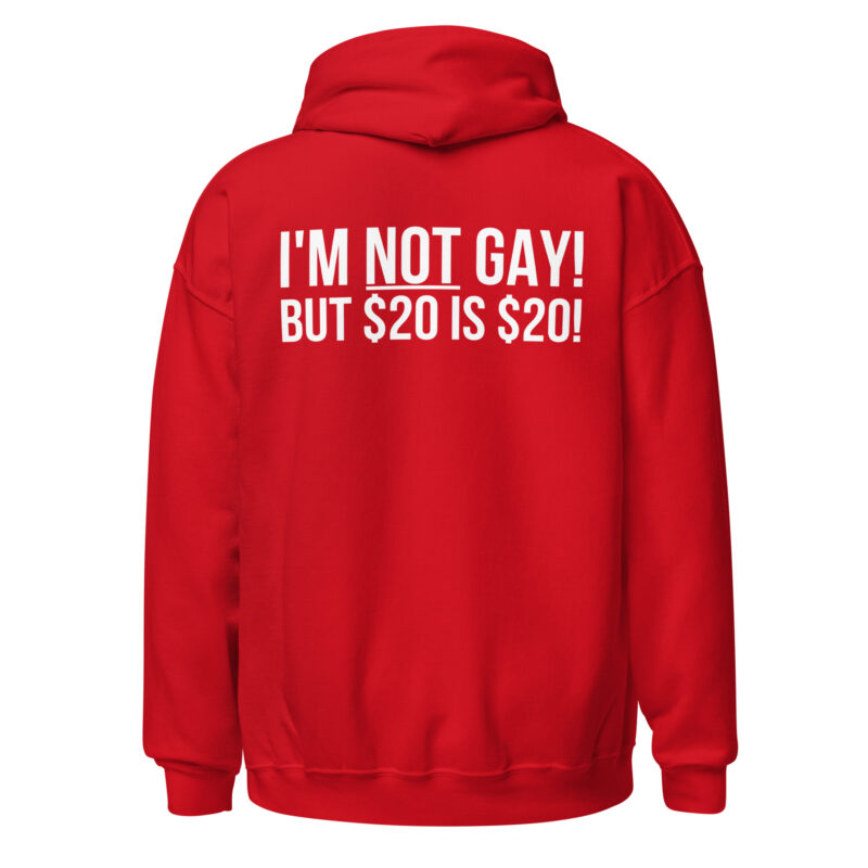 I’m not gay but $20 is $20 Unisex-Hoodie